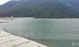 莆田水库爆料视频最新,揭秘水质状况与环保措施